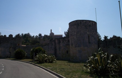 100_3876-1024x769