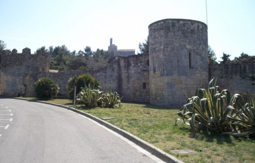 100_3877-1024x769