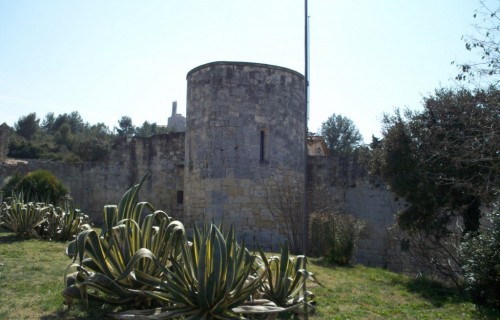 100_3879-1024x769