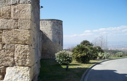 100_3881-1024x769
