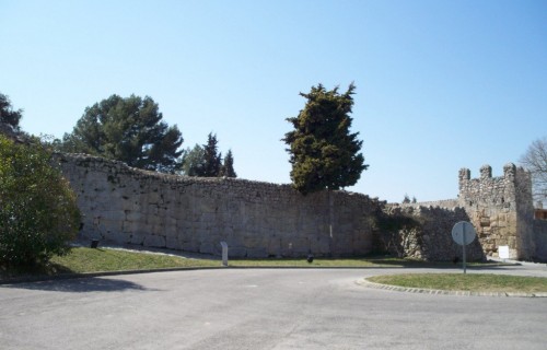 100_3882-1024x769