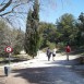100_3884-1024x769
