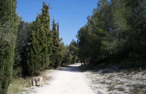 100_3887-1024x769