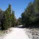 100_3887-1024x769