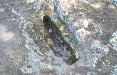 100_3892-1024x769