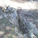 100_3894-1024x769