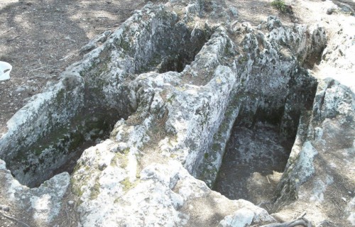 100_3895-1024x769