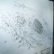 100_3898-1024x769