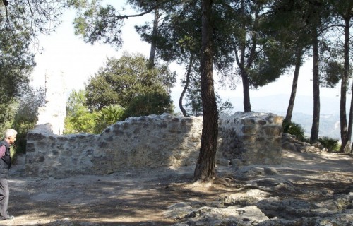 100_3907-1024x769