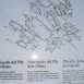100_3909-1024x769
