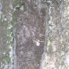 100_3912-769x1024