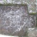 100_3913-1024x769
