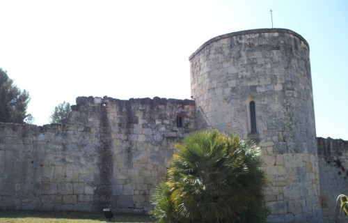 100_3924-1024x769