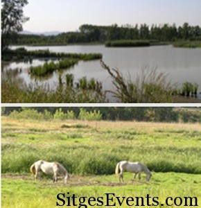 Estany-de-Sils