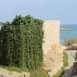 IMG_7791