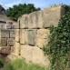 IMG_7800