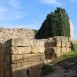IMG_7819
