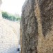 IMG_7885
