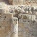 IMG_7979