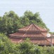 IMG_8010