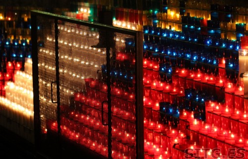IMG_8133 (Large)
