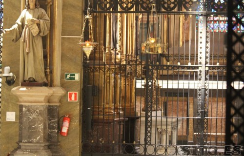 IMG_8155 (Large)