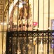 IMG_8156 (Large)