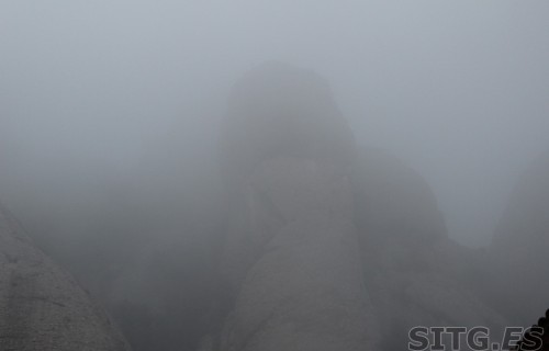 IMG_8199 (Large)
