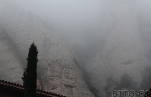 IMG_8200 (Large)