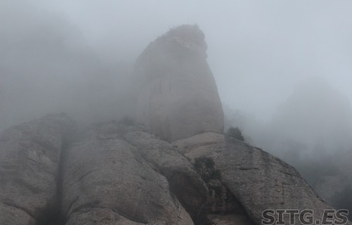 IMG_8210 (Large)