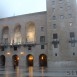 IMG_8214 (Large)