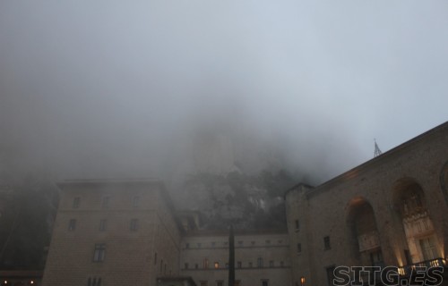 IMG_8215 (Large)