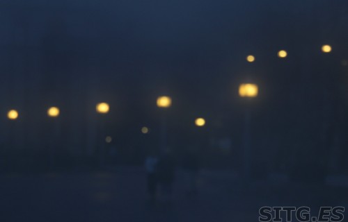 IMG_8217 (Large)