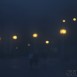 IMG_8217 (Large)