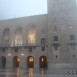 IMG_8220 (Large)