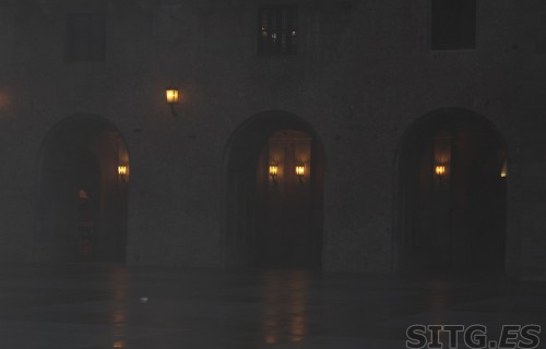 IMG_8222 (Large)