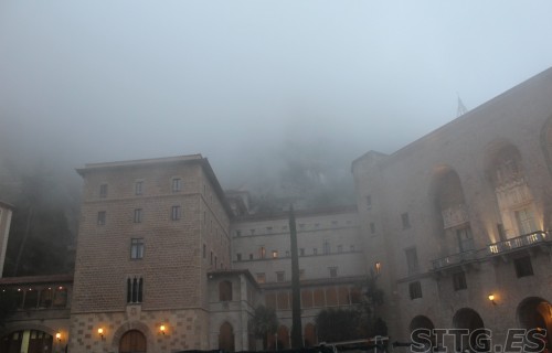 IMG_8225 (Large)