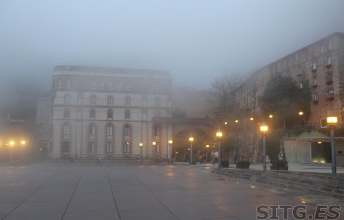 IMG_8229 (Large)