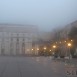 IMG_8229 (Large)