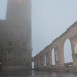 IMG_8232 (Large)