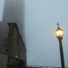 IMG_8235 (Large)