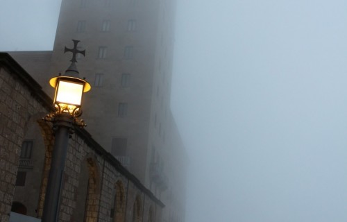 IMG_8239 (Large)