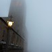 IMG_8239 (Large)