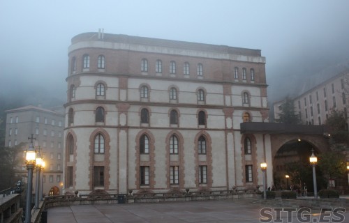 IMG_8242 (Large)
