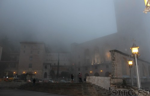IMG_8243 (Large)