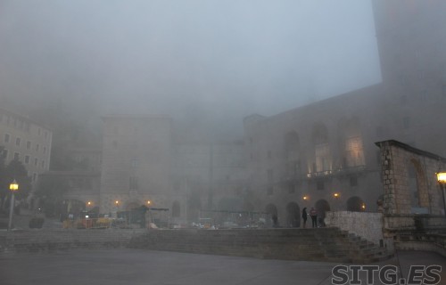 IMG_8244 (Large)