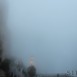 IMG_8245 (Large)