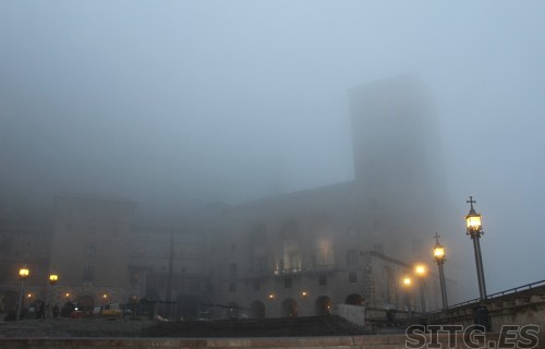IMG_8246 (Large)