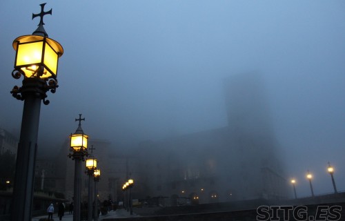 IMG_8248 (Large)