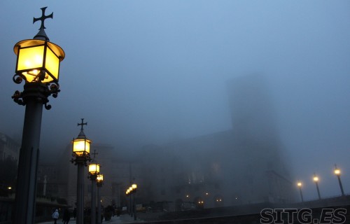 IMG_8250 (Large)